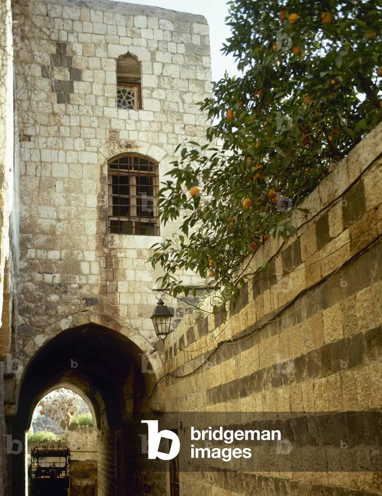 The Azm Palace, Hama, Syria (photo)