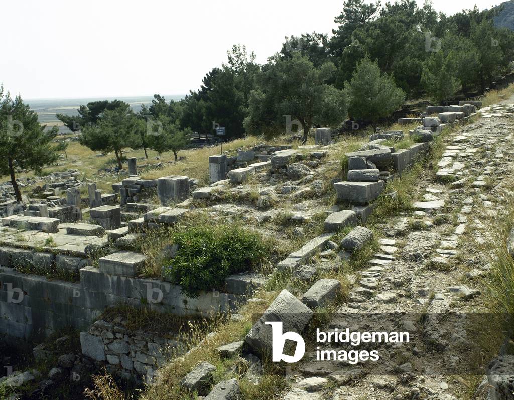 Turkey, Priene, Ruins, Anatolia