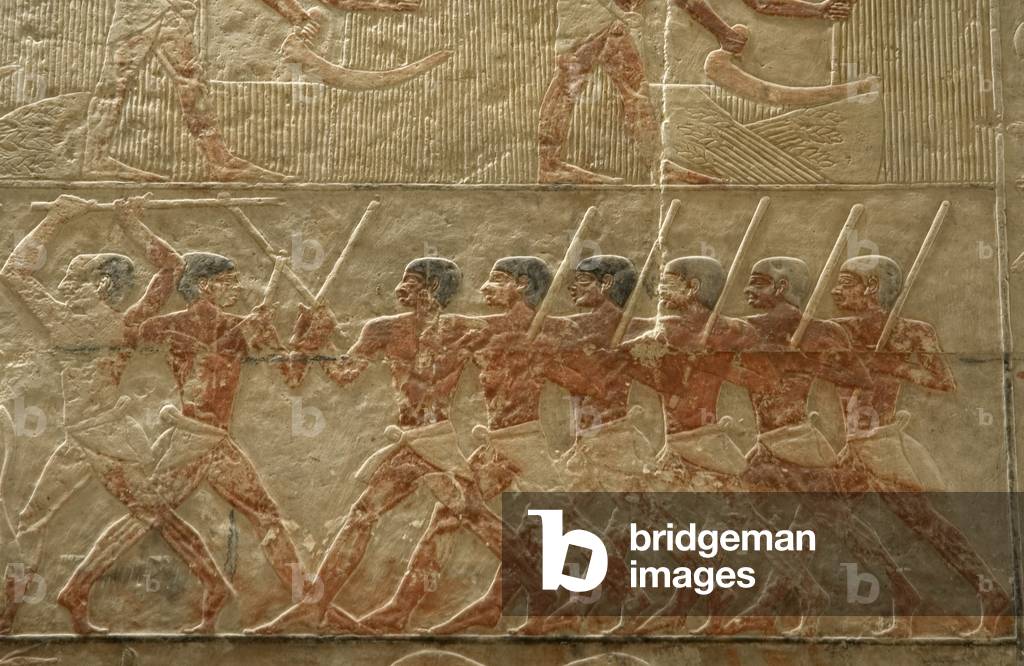 Egypt, Mastaba of Ti, Agricultural scene, Detail, Relief,