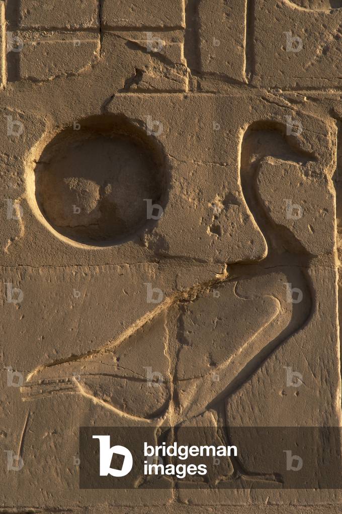 Egyptian Art. Relief depicting a goose next to the sun. Karnak.