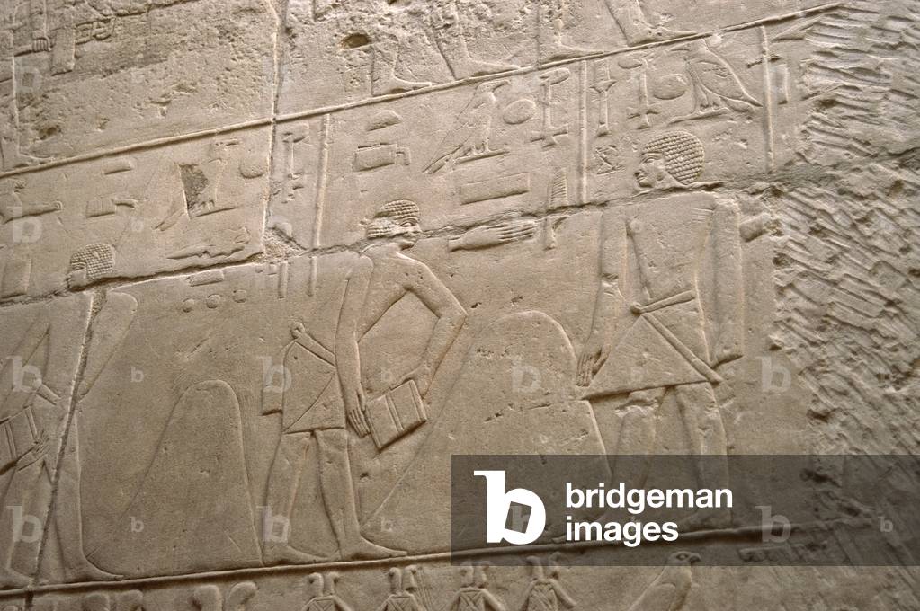 Agricultural scene, Relief, Mastaba of Kagemni, Saqqara, Egypt