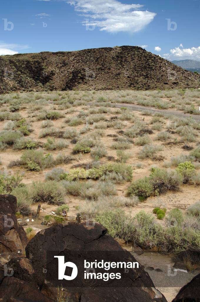 United States. Boca Negra Canyon. Petroglyph National Monument.