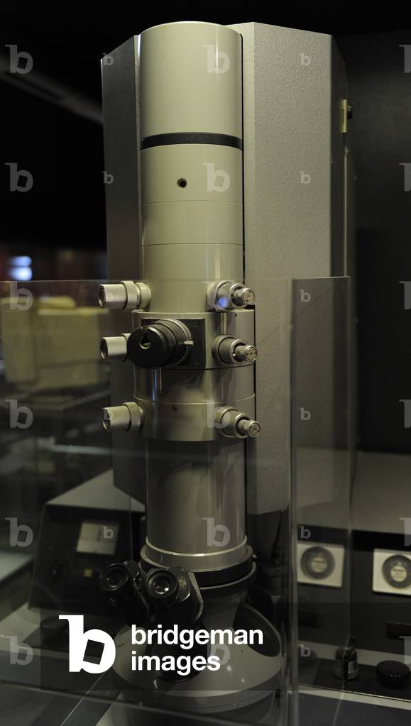 Transmission electron microscope 