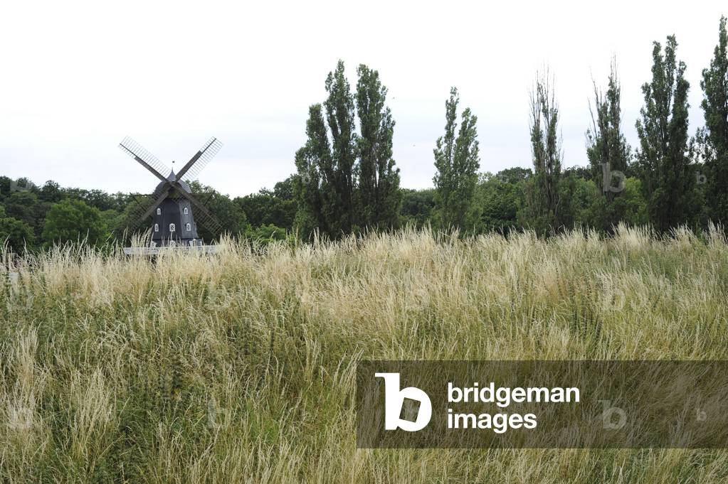 Sweden, Malmo, Landscape with a windmill