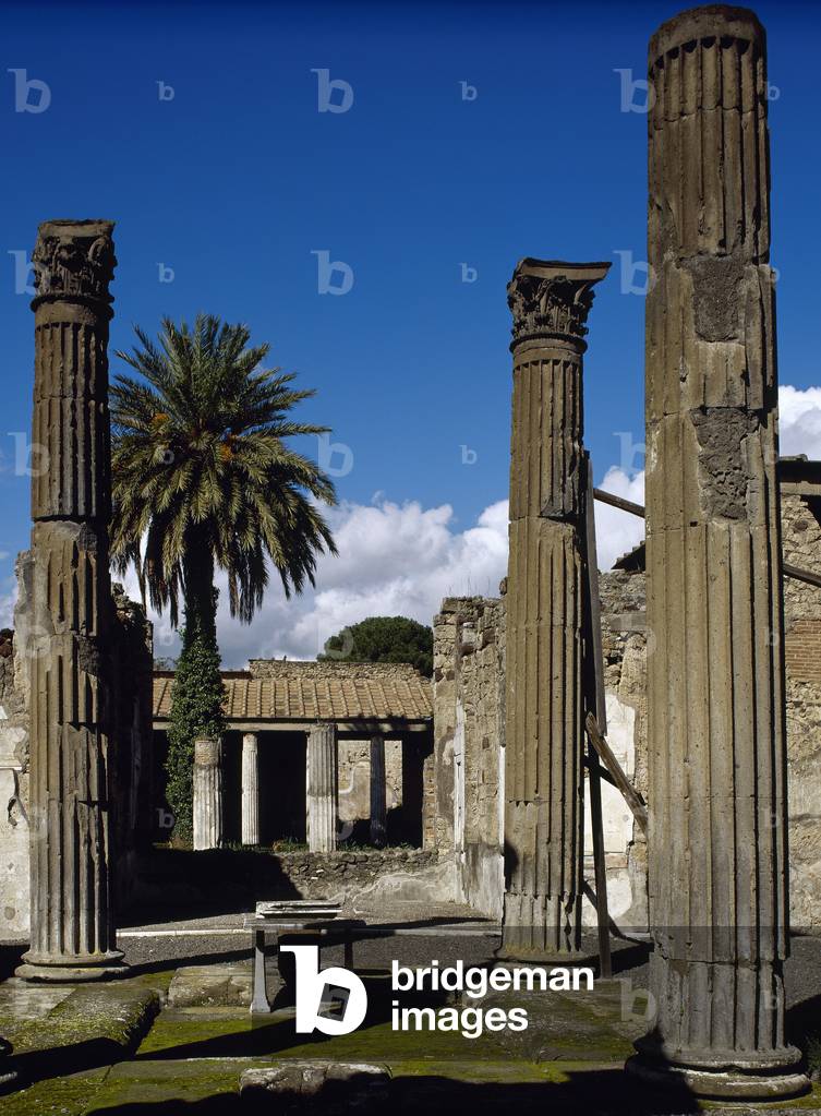 Italy, Pompeii, Roman city, House of the Labyrinth, Atrium, Insula 11, Campania (photo)