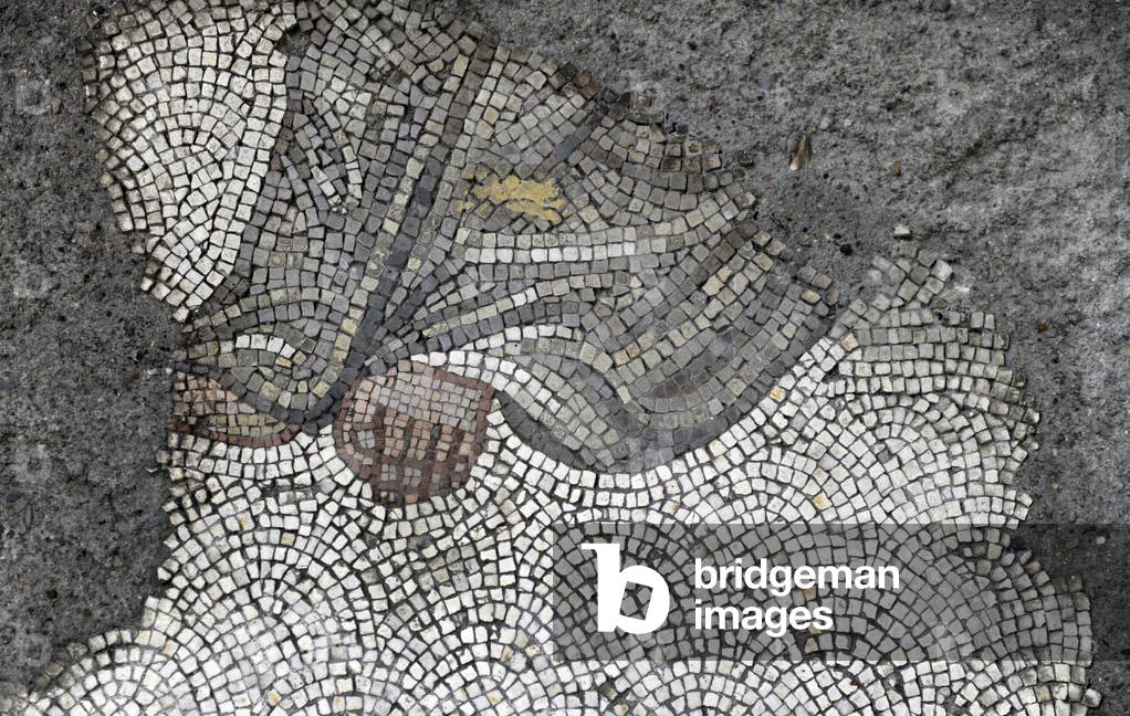 Mosaic of the Great Palace Mosaic Museum. Istanbul.