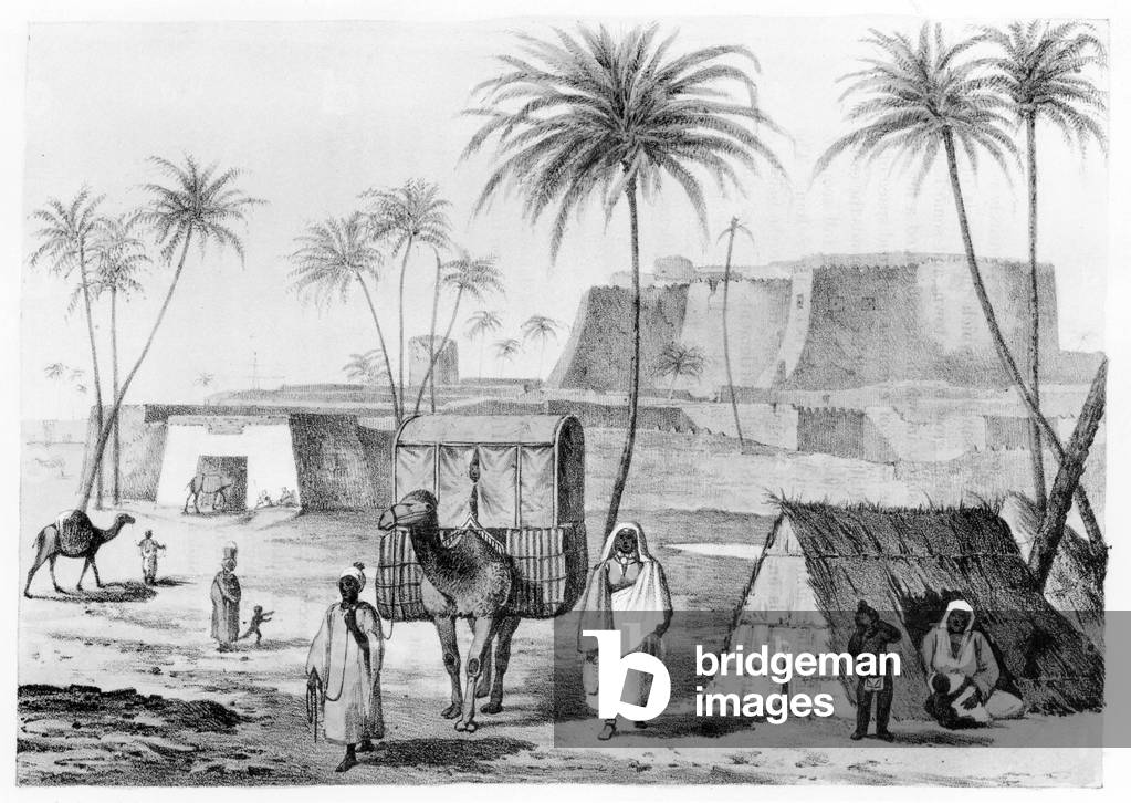 Camel litter at Morzouk in the Fezzan, Libya, from 'Narrative of Travels in Northern Africa' by G.F. Lyon, published 1821 (litho) (b/w photo)
