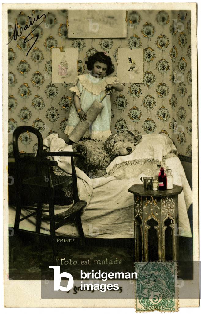 Postcard: Toto is sick, great remedies, Prince (printed paper)