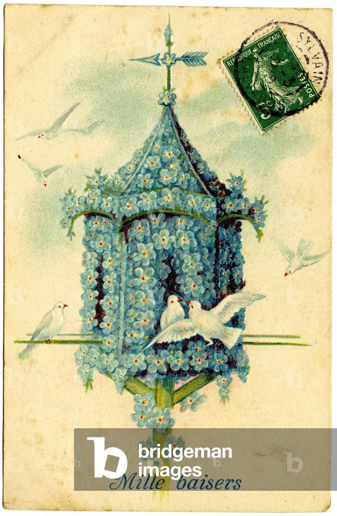 Postcard (coloured photo)