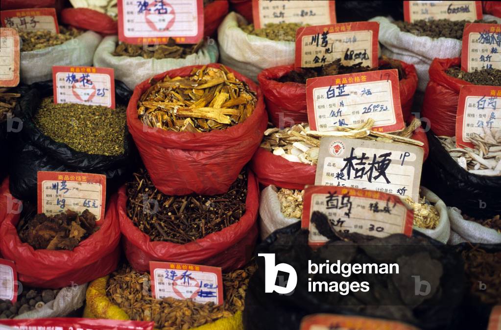 Canton, Guangzhou, live animal market and pharmacopoeia, Qingping, sale of dried plants for medical purposes in a Chinese pharmacy, Qingping, Gaotang County, Liaocheng, western Shandong province, China (photo)