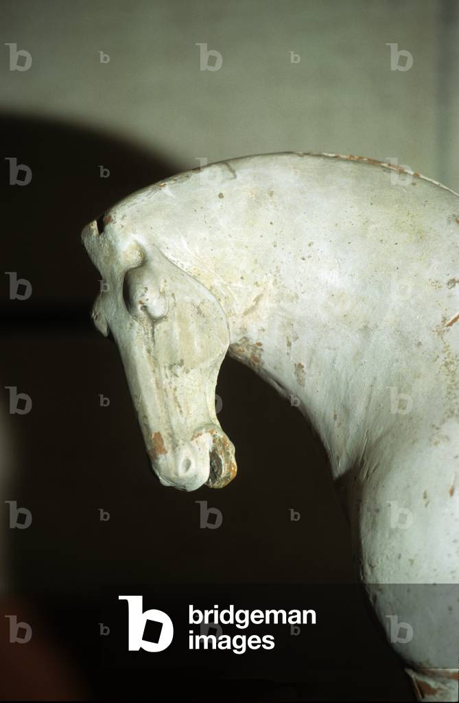 Colourful horse head, funerary object, 618-907 (terracotta)