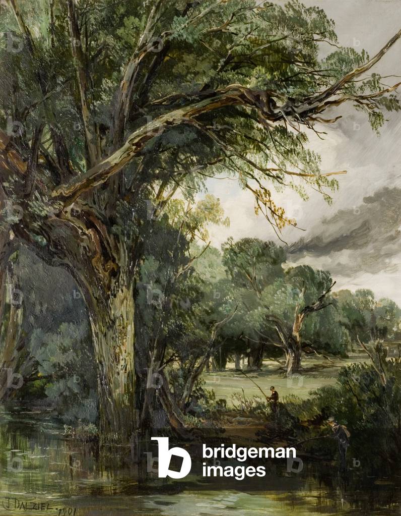 Woody Landscape (oil on canvas)