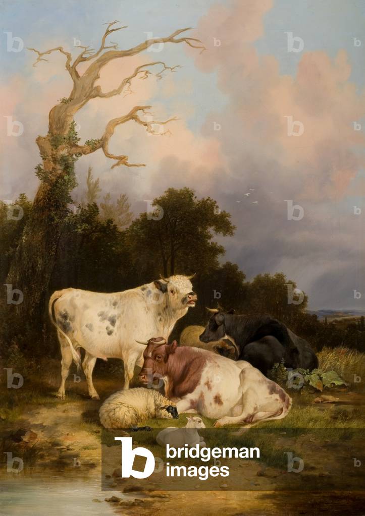 Cattle and Sheep (oil on canvas)