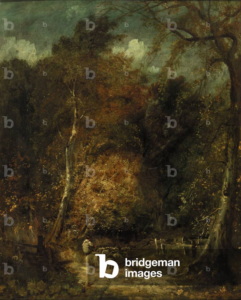 Wooded Landscape (oil on canvas)