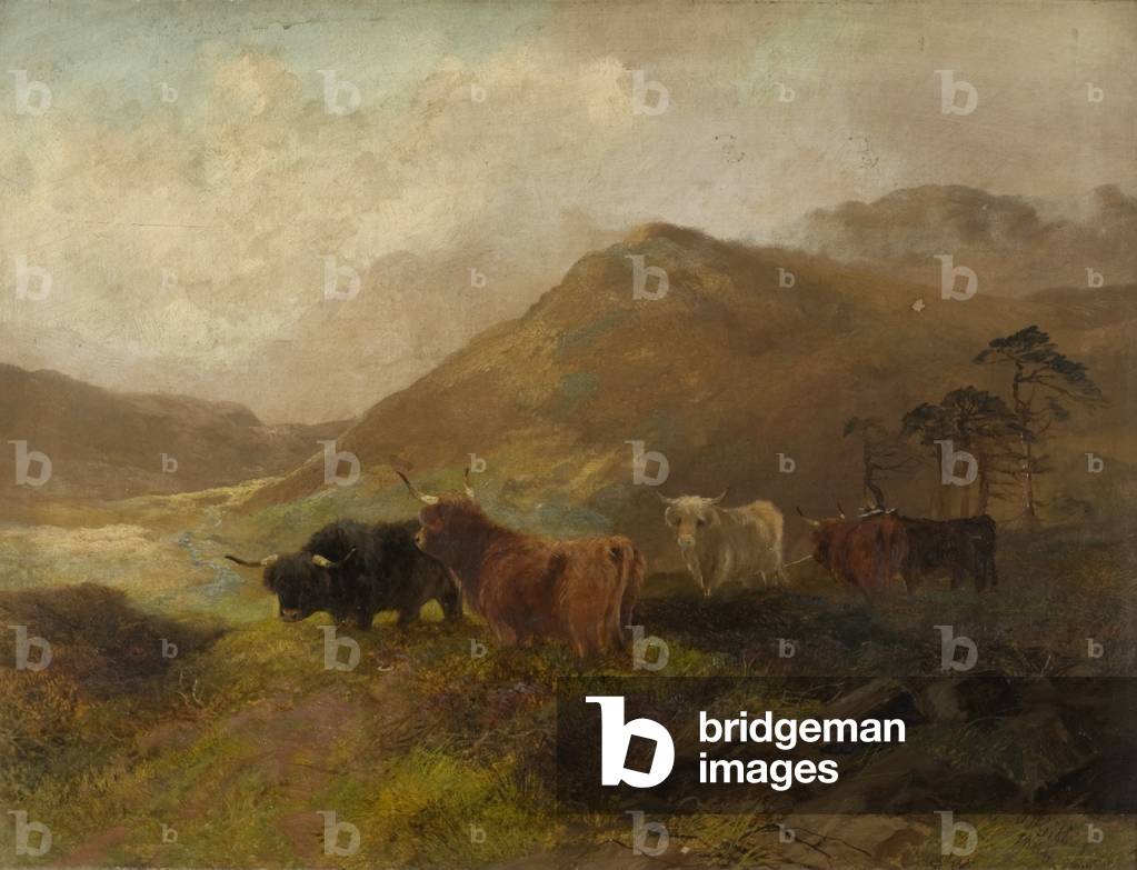 Summertime on the Cheviots (oil on canvas)