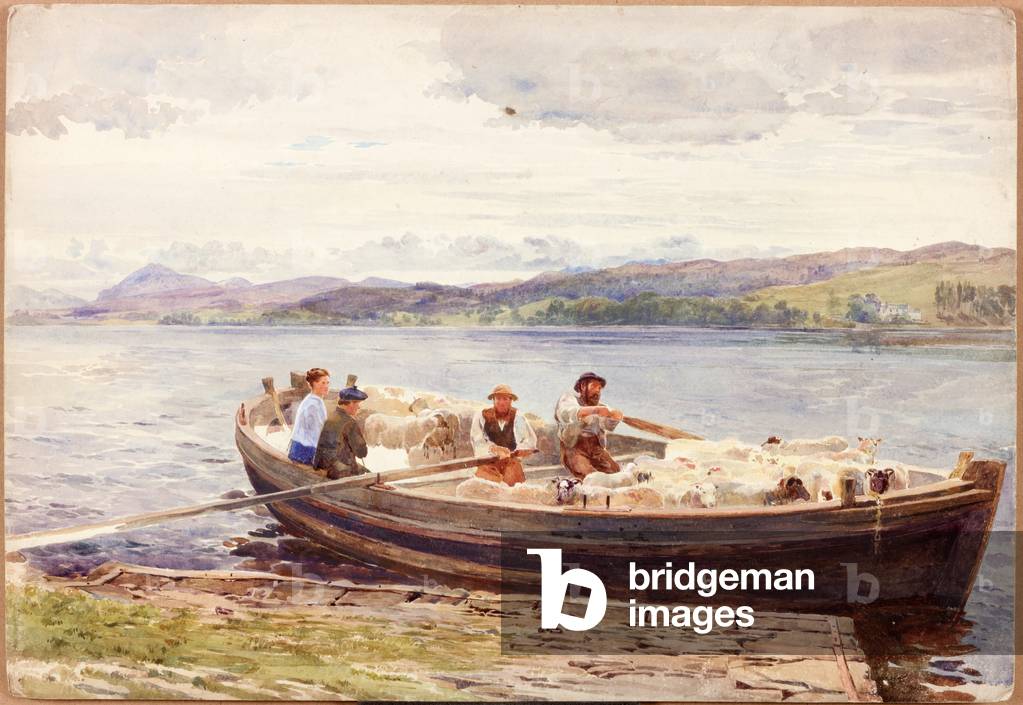 Ferrying Sheep on a Scottish Loch (w/c on paper)
