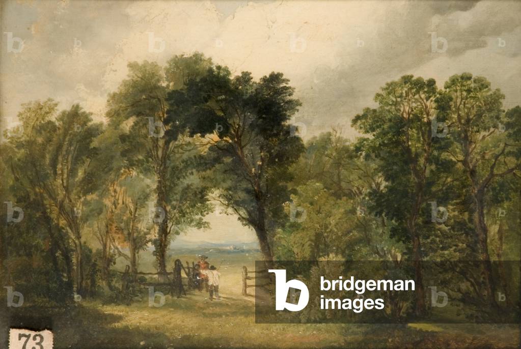 A Woodland Glade (oil on canvas)