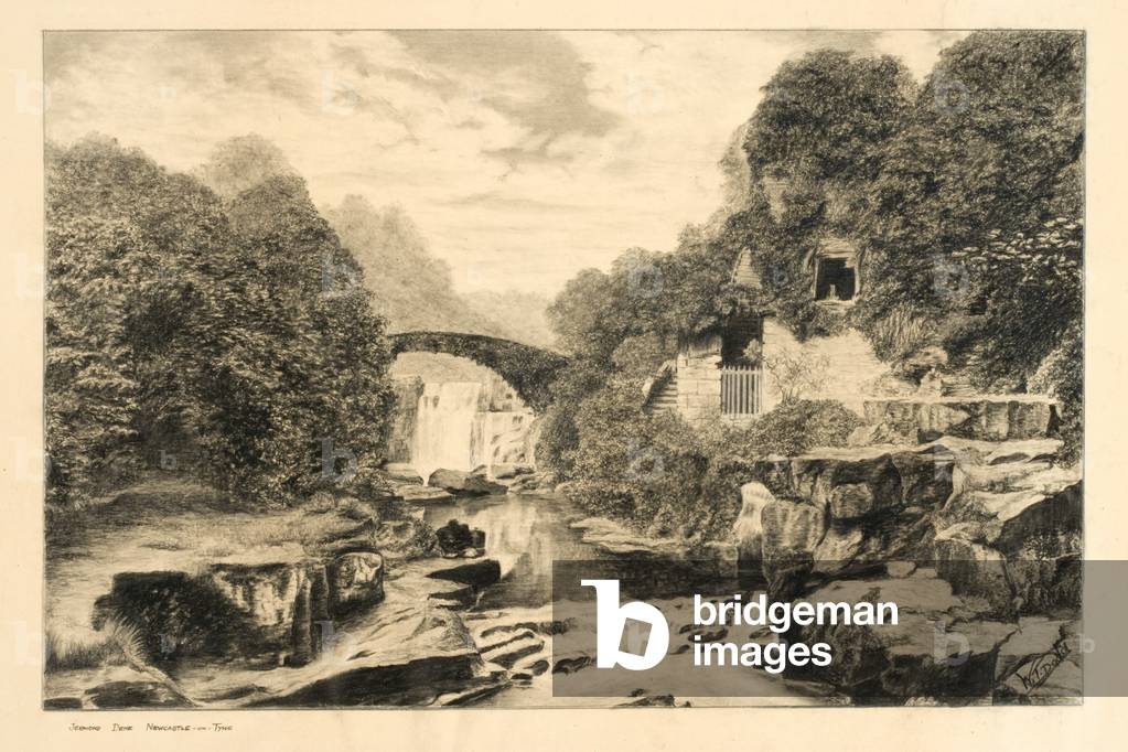 Jesmond Dene (chalk & pencil on paper)