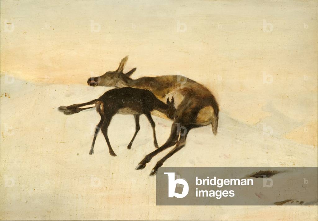 Immagine di Dipinto "Un colpo casuale (olio su tavola)", 19th Secolo di Edwin Landseer, b/w