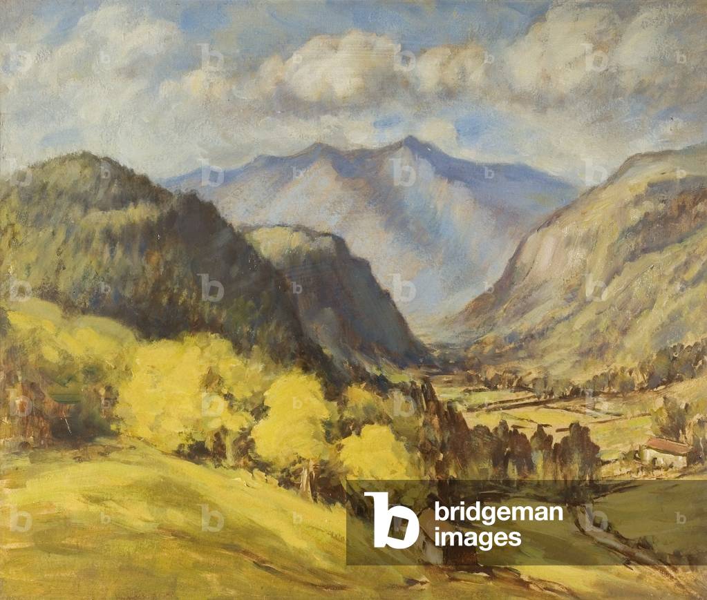 Valley Landscape (oil on board)