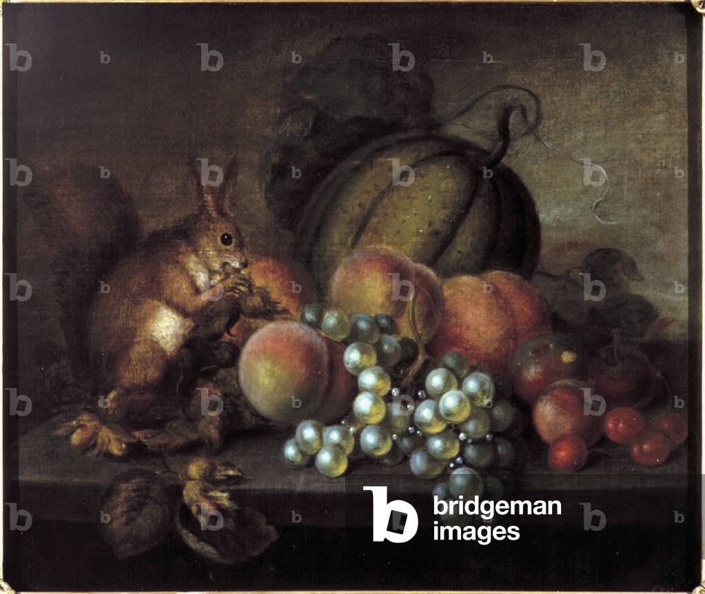 Study of Fruit with Squirrel (oil on canvas)