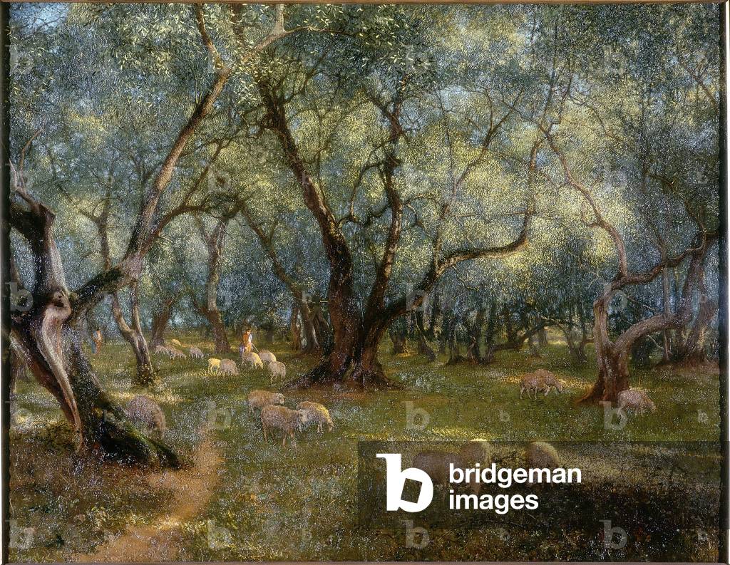 Olives of St Rocco (oil on canvas)