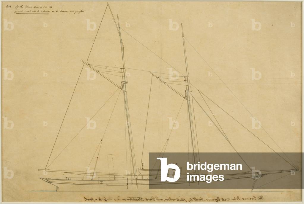 The Venus (pen & ink on paper (tracing))