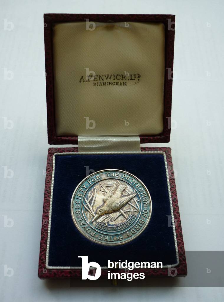 RSPB medal presented to Grace Hickling MBE, 1959 (silver medal in presentation box)