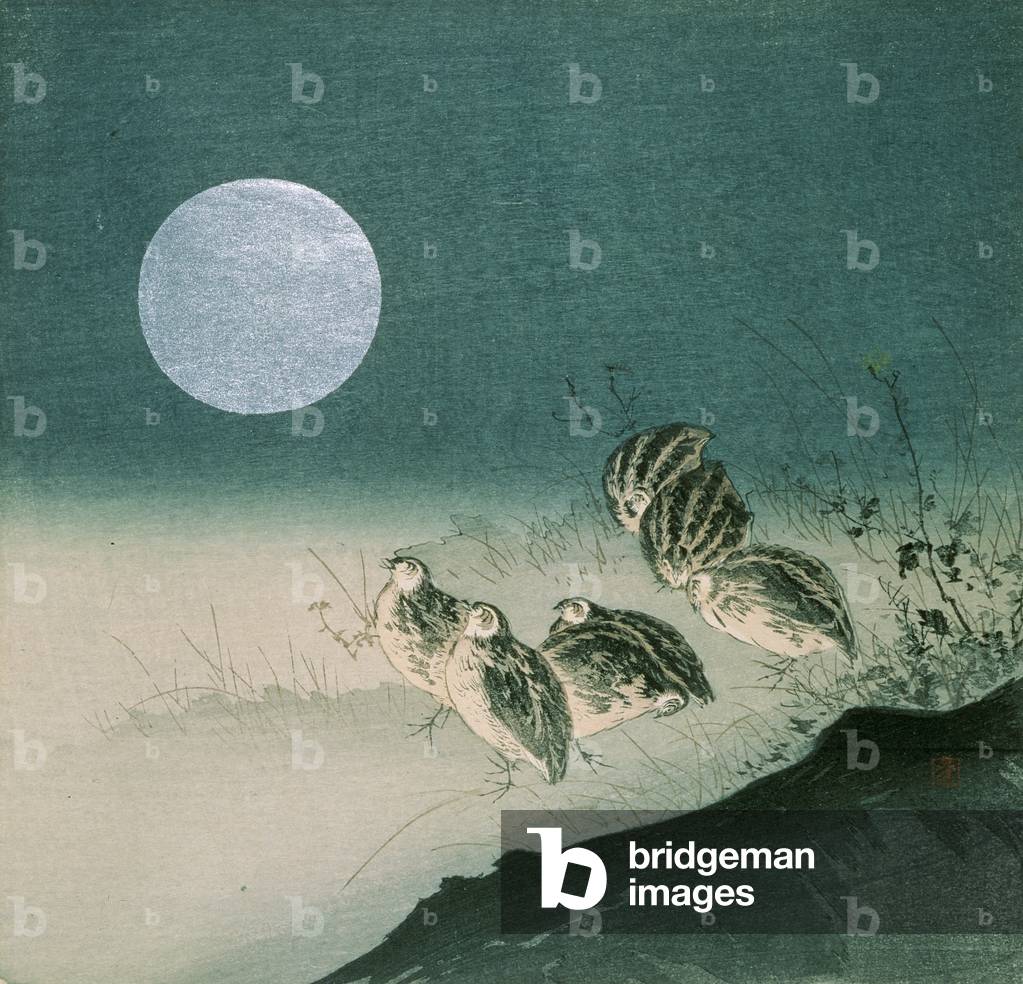 Quails and Full Moon, c.early 1900s (colour woodblock print)