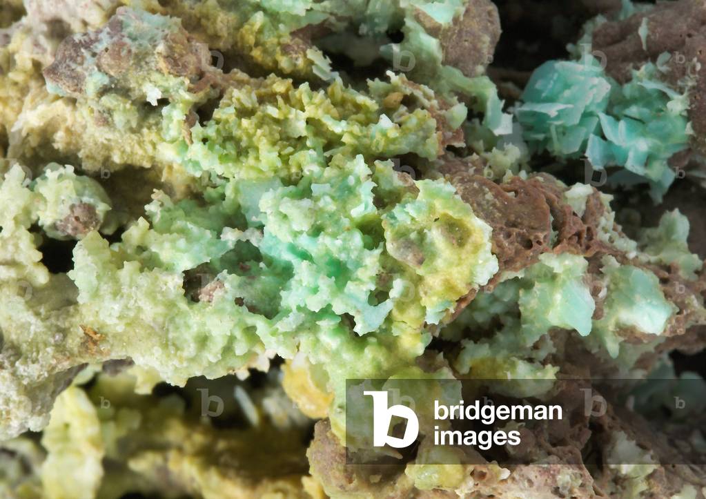 Aphthitalite, from the Somma-Vesuvius Complex, Naples, Italy (detail of 273845)