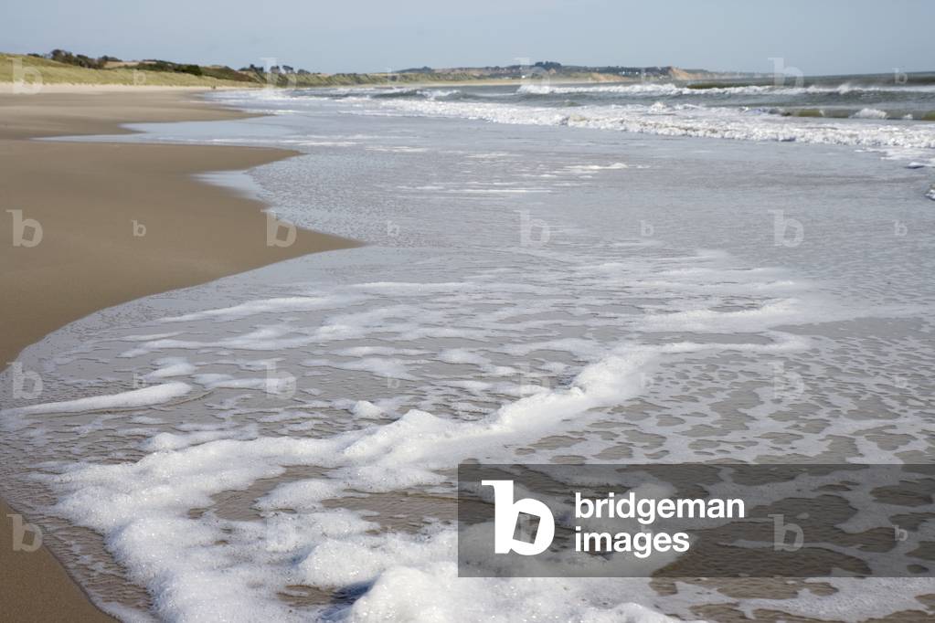 Water's Edge' images and/or videos results page 1 of 9