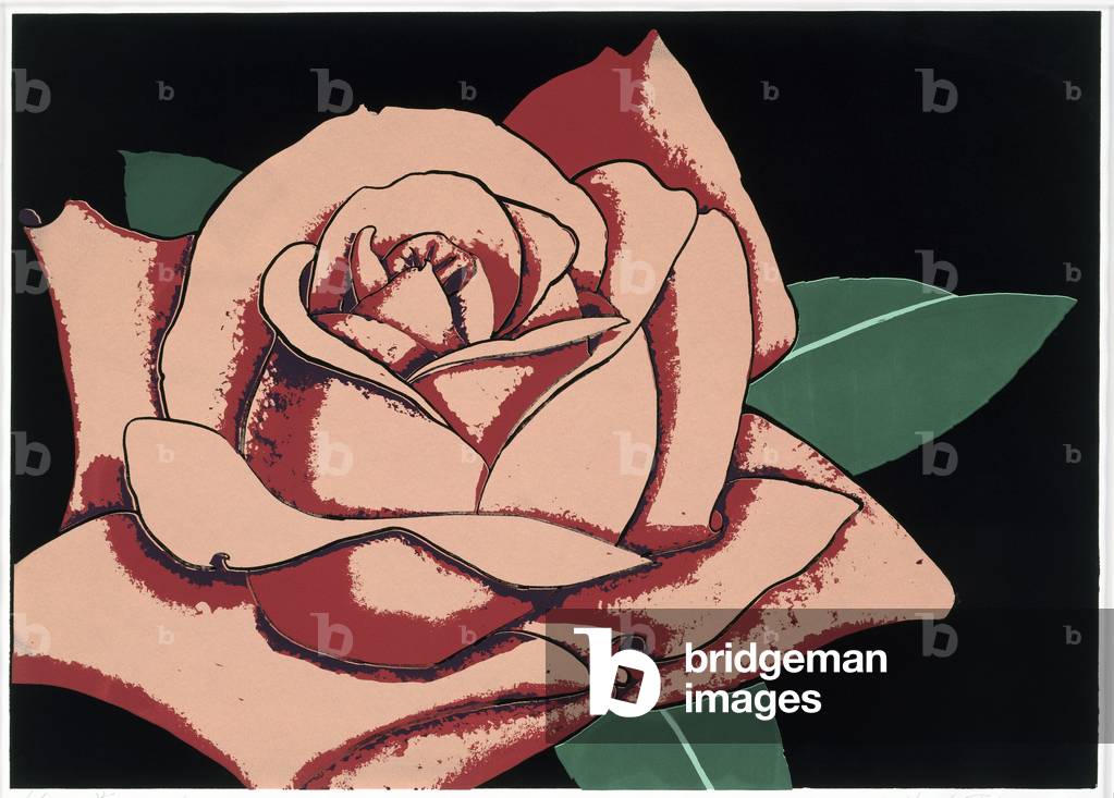 Rosa numero 2. (Fragilite, epanouissement). illustrazione di Hisashi Takimoto (nato nel 1939, Giappone).