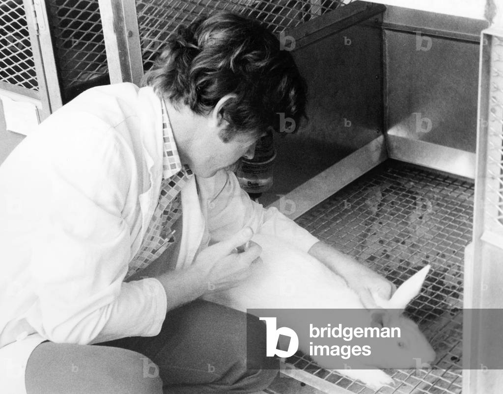 Nahaufnahme eines Wissenschaftlers, der ein Kaninchen injiziert