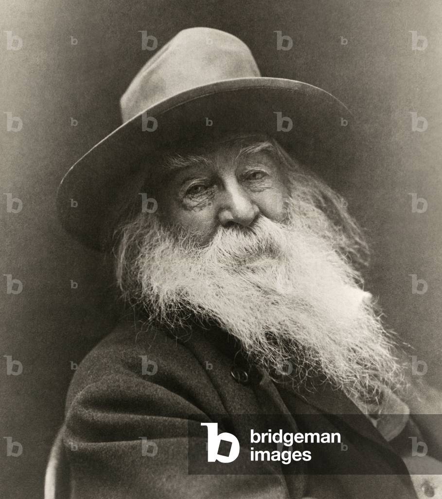 Image of Photography depicting United States: 1887
A portrait of noted American poet Walt Whitman., b/w