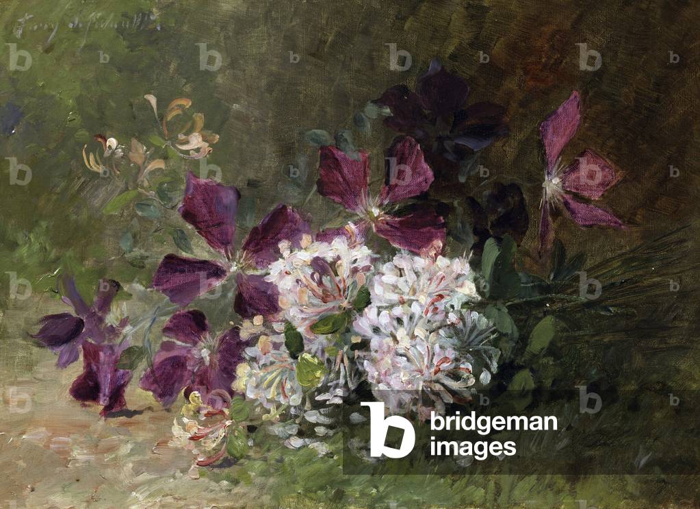 Clematite et chevrefeuille. Peinture de Albert Tibule Furcy de Lavault (1847-1915) Collection privee.