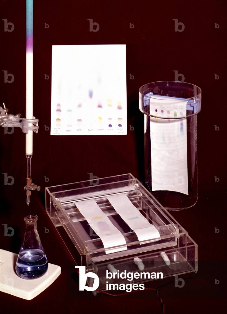 Chemical Laboratories, Apparatus, 18501949 Chromatography apparatus, c