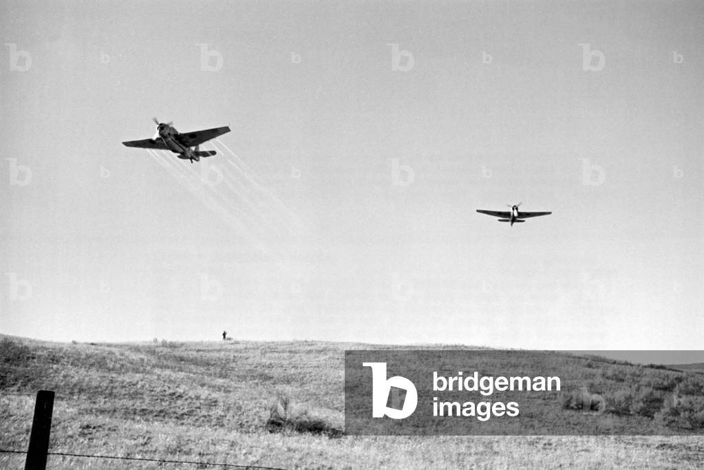 Immagine di Fotografia "Stati Uniti: giugno 1971
Aeroplani che spruzzano malathion per il controllo delle cava