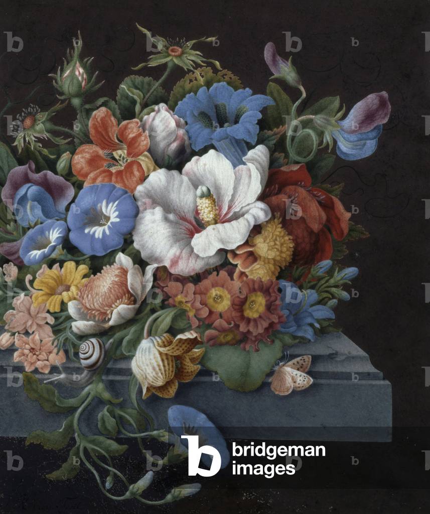 Natur Morte avec Fleurs (Primeveres). Peinture de J Kray (1730-1806) Sammlung privée.