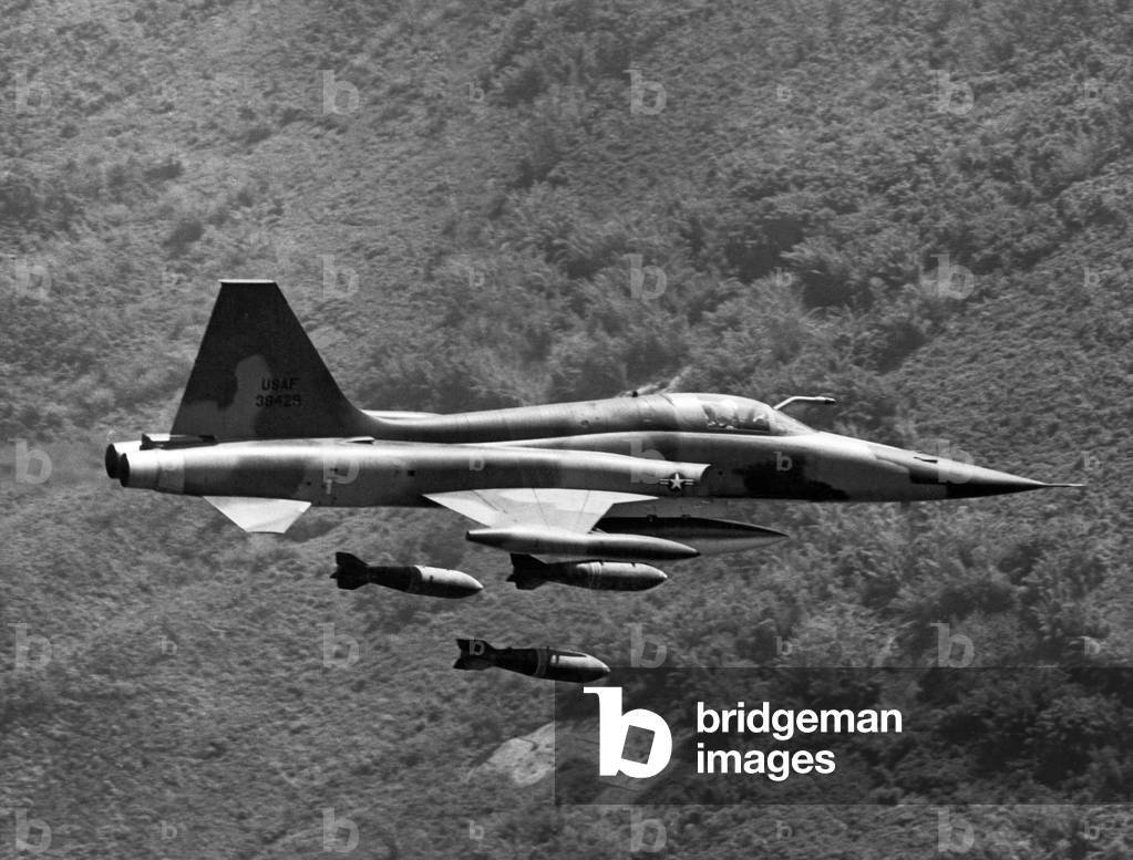 Immagine di Fotografia "Vietnam: 28 febbraio 1966
Un F-5 Skoshi Tiger dell'aeronautica militare americana del 
