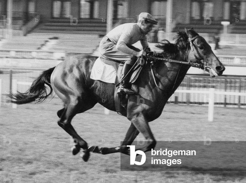 Enrico Camici And Ribot, 1950-60 (b/w photo)