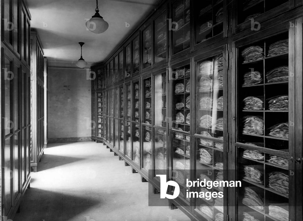 Italy, Padua, Botanical Garden, the Saccardo Herbarium, 1920-30 (b/w photo)