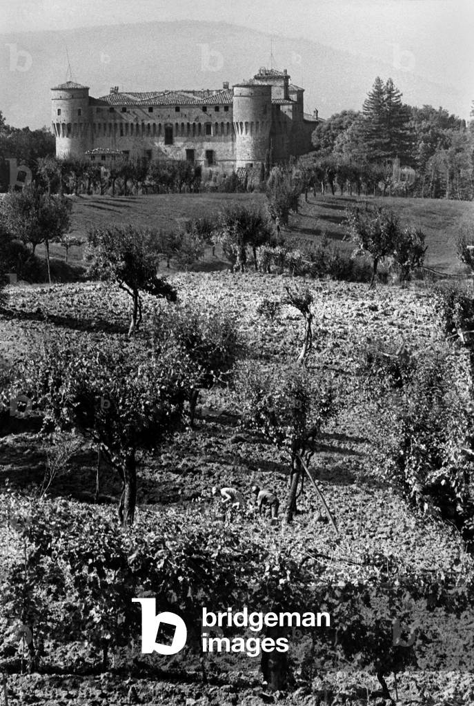 Castle of Thecivitella Ranieri Estate, Umbertide, Umbria, Italy 1968 (b/w photo)