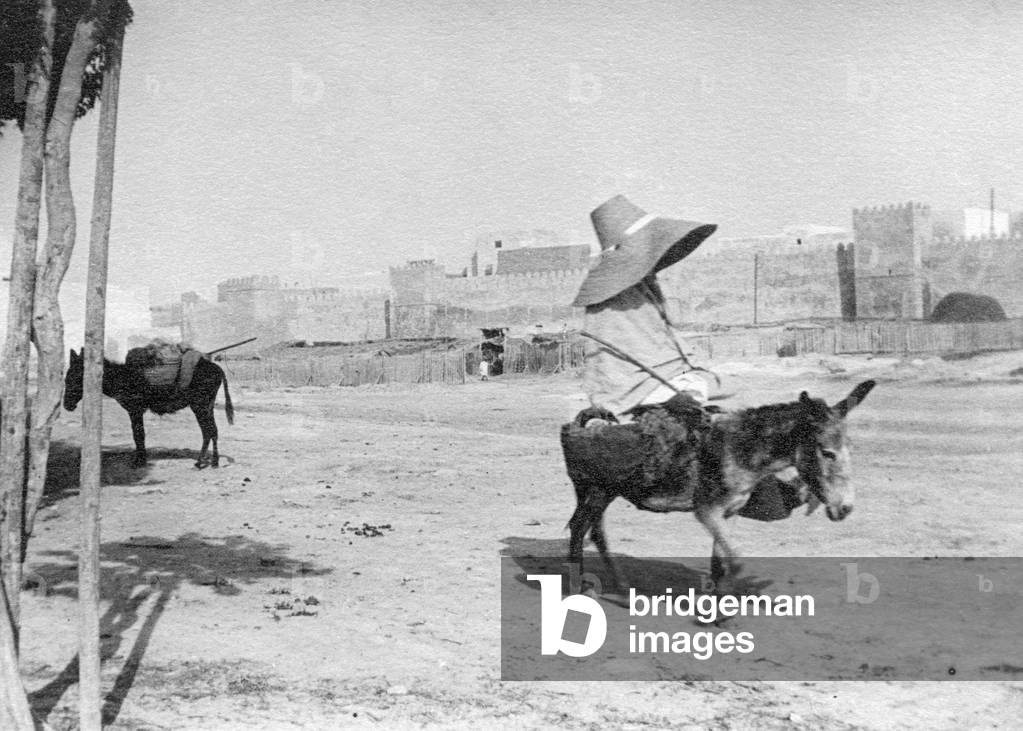 Tunisia, Sfax, Big Hat And Small Donkey, 1910 (b/w photo)