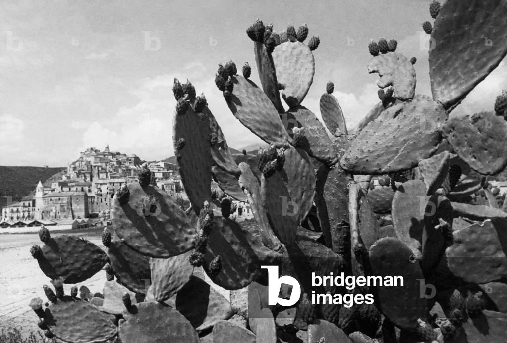 Scalea, Calabria, Italy, 1964 (b/w photo)