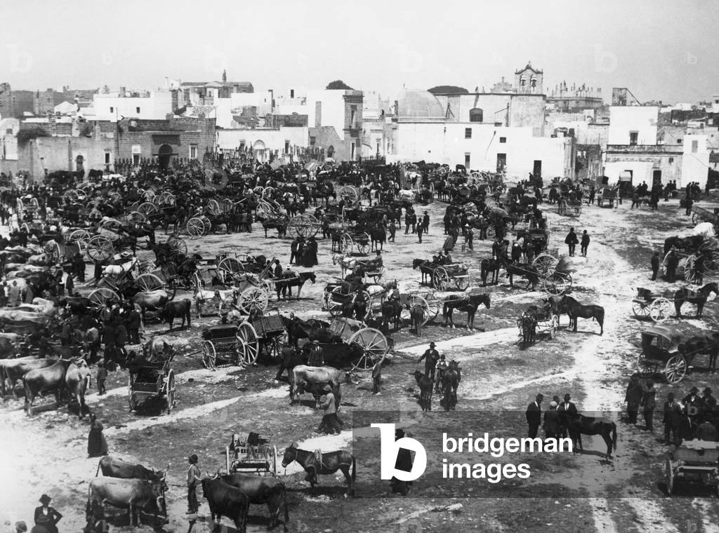 Italy, Puglia, Salento, Casarano, Cattle Fair, 1910-1920 (b/w photo)