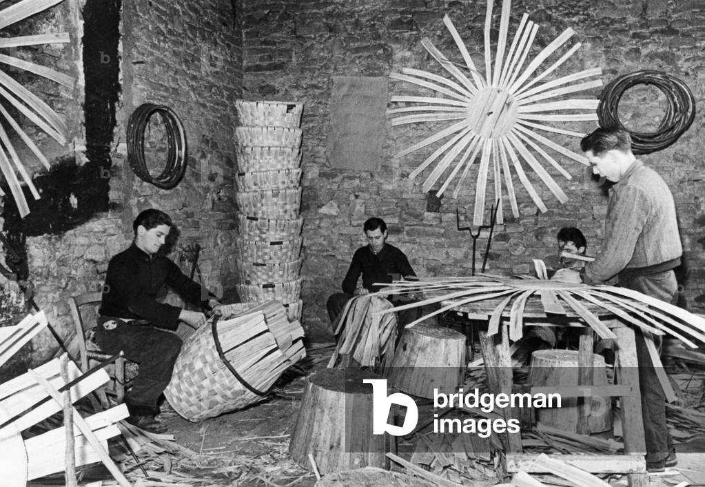 Factory of Baskets, Tuscany, Italy, 1956 (b/w photo)