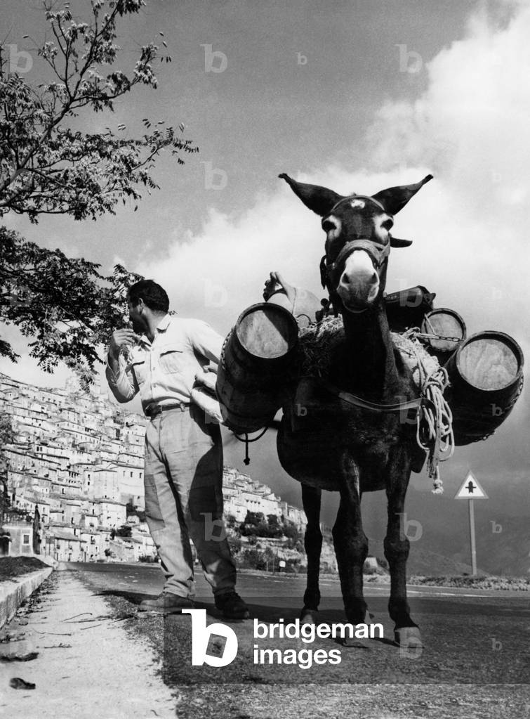 Water Vendor, Morano, Calabria, Italy, 1962 (b/w photo)