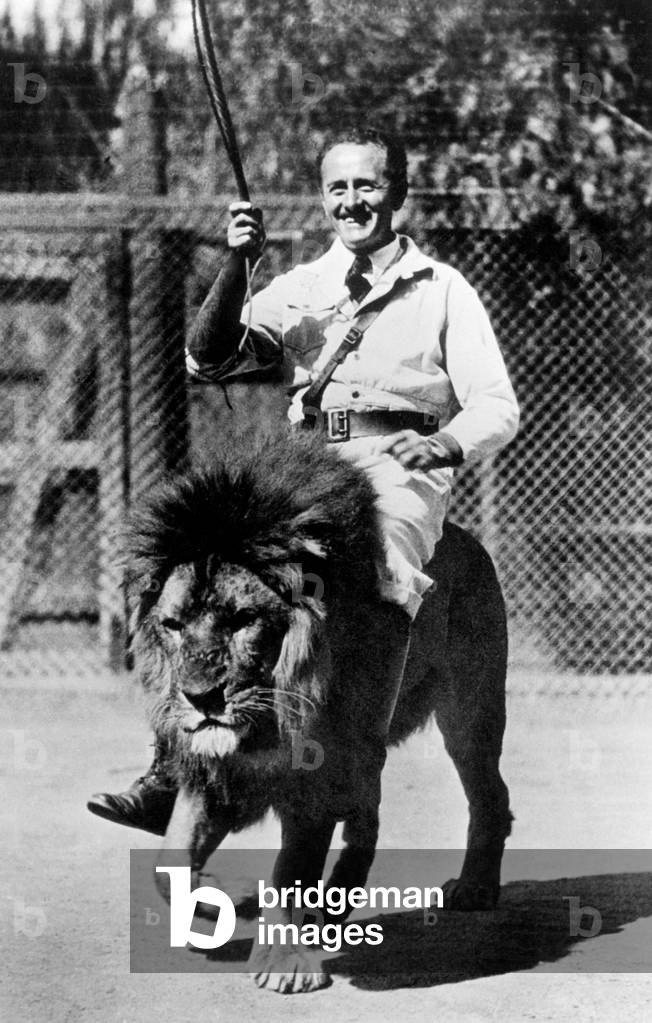 America, California, Los Angeles, Astride the Lion Tamer of the Metro Goldwyn Meyer, 1920-30 (b/w photo)