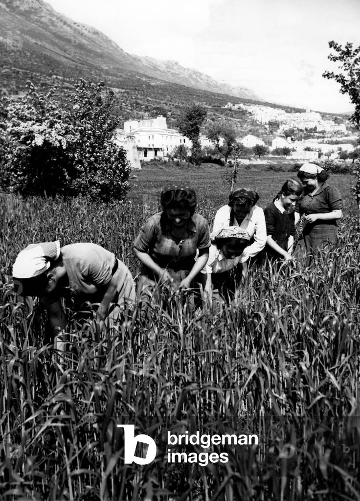 Peasant, San Pietro Infine, Campania, Italy 1954 (b/w photo)