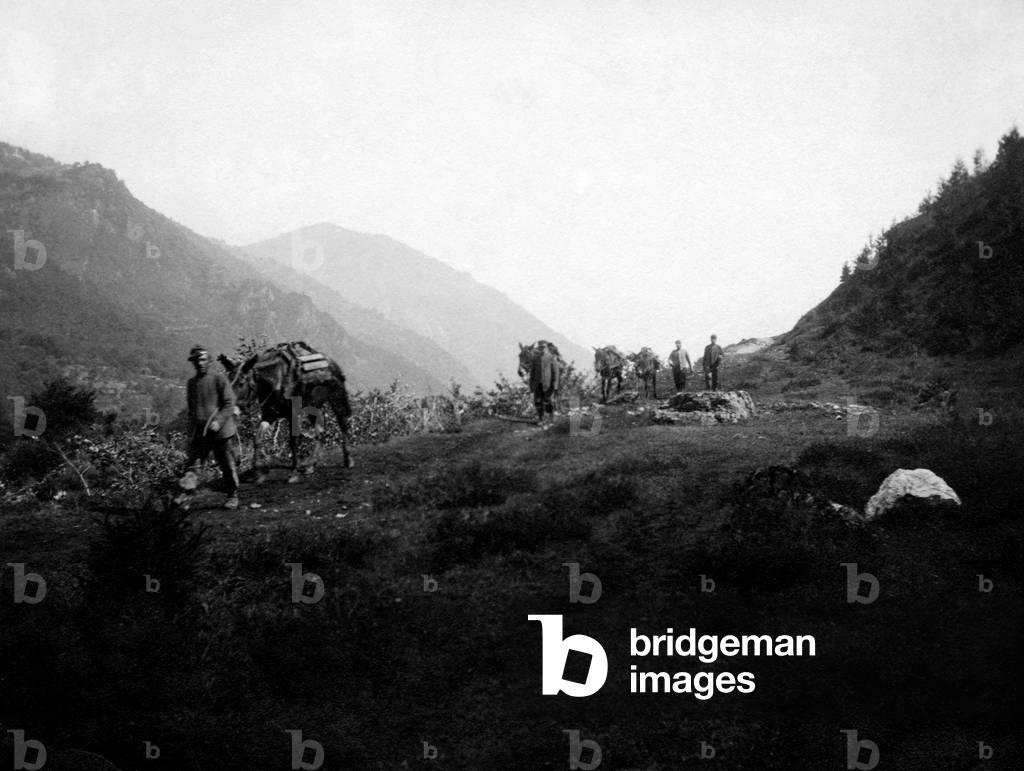 War, Supplies, 1915-18 (b/w photo)